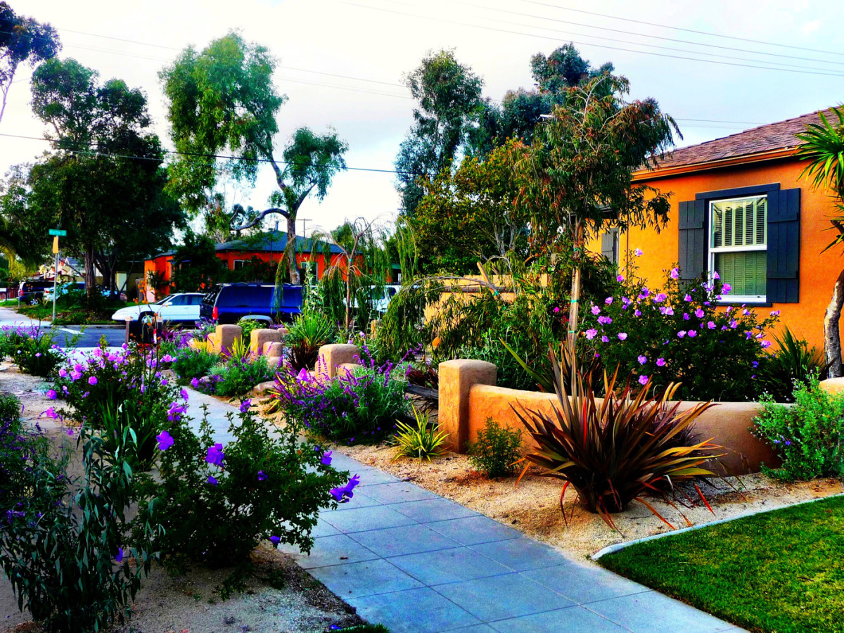 Xeriscape/Waterwise Landscapes